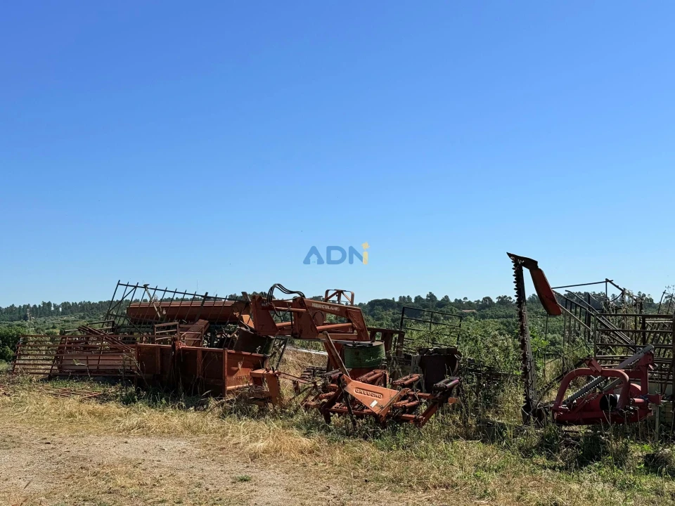 Terreno para Venda em Castelo Branco Foto 18