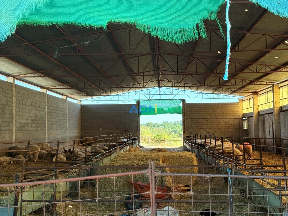 Terreno para Venda em Castelo Branco Foto 19