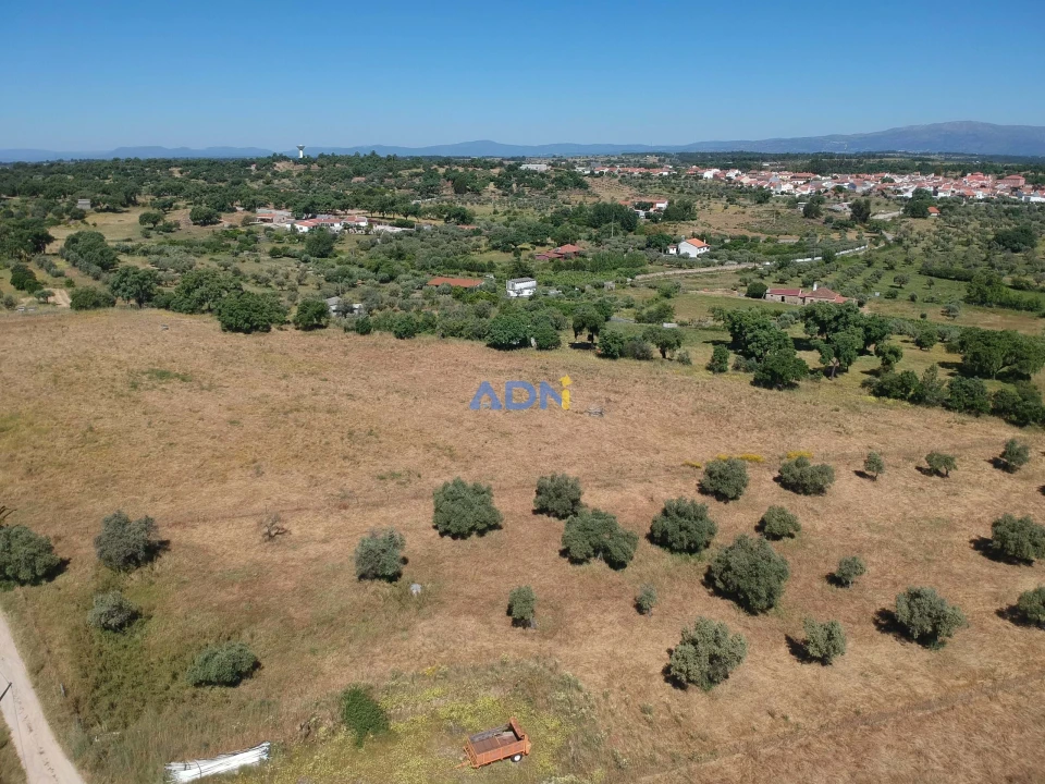 Terreno para Venda em Castelo Branco Foto 10