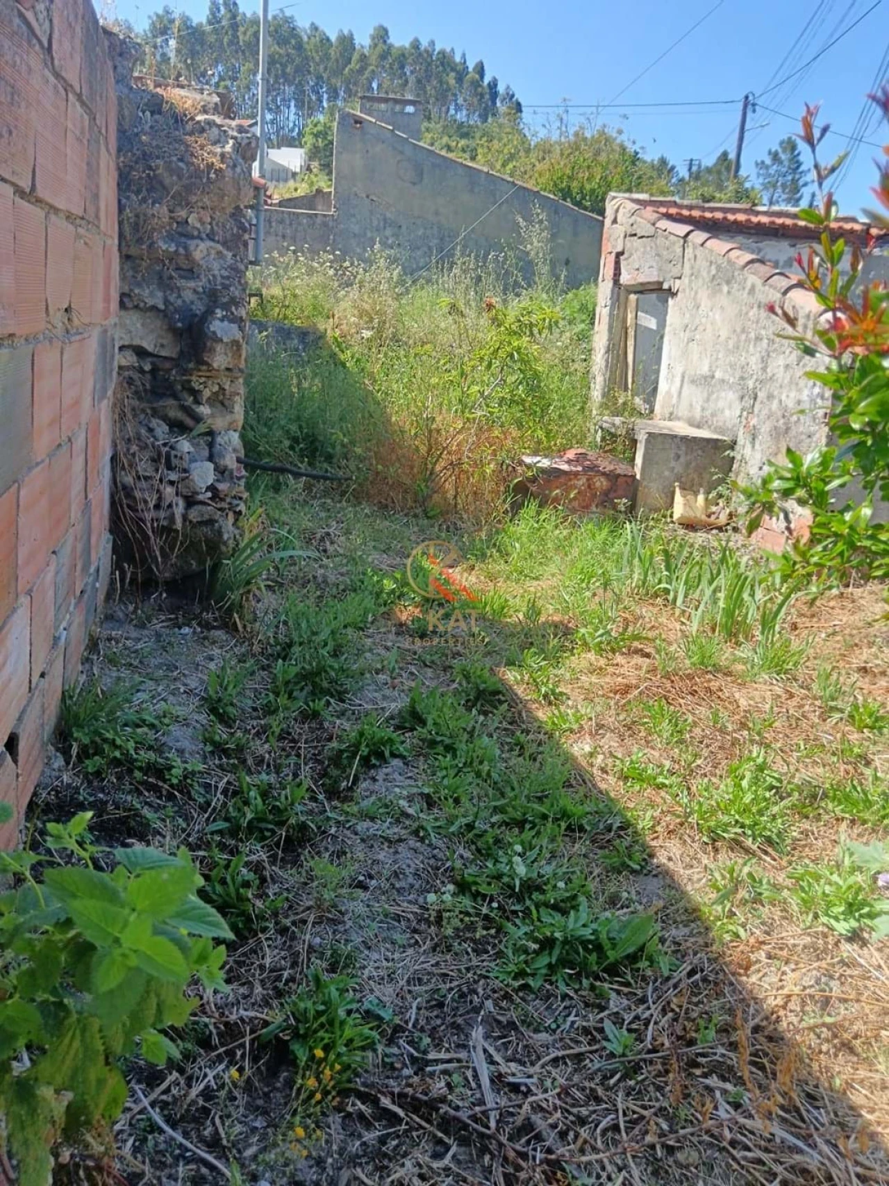 Terreno para Venda em Lousa Foto 9