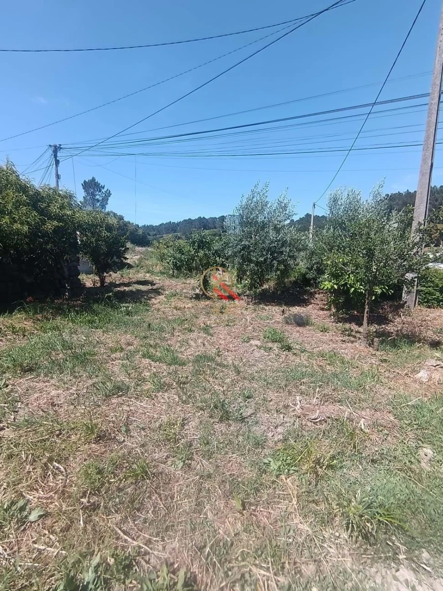 Terreno para Venda em Lousa Foto 5