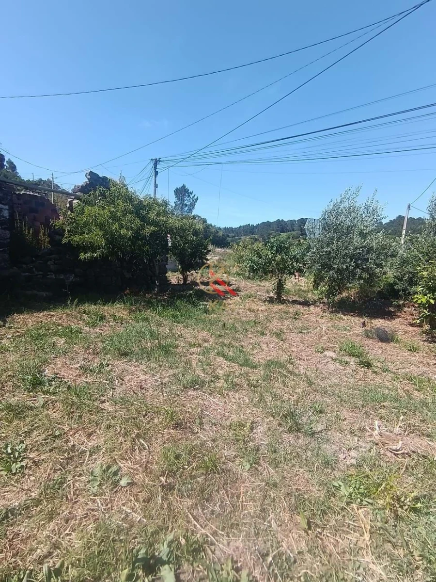 Terreno para Venda em Lousa Foto 7