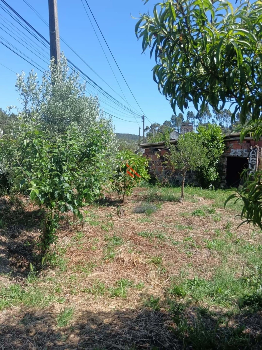 Terreno para Venda em Lousa Foto 8