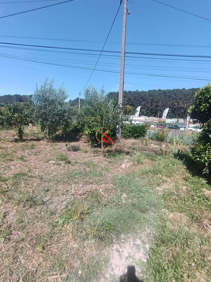 Terreno para Venda em Lousa Foto 6