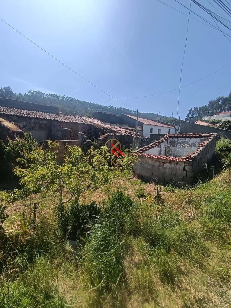 Terreno para Venda em Lousa Foto 4
