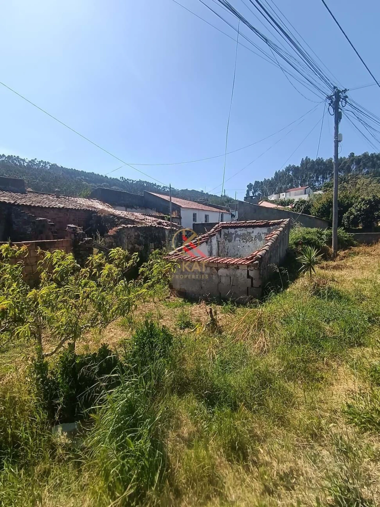 Terreno para Venda em Lousa Foto 2