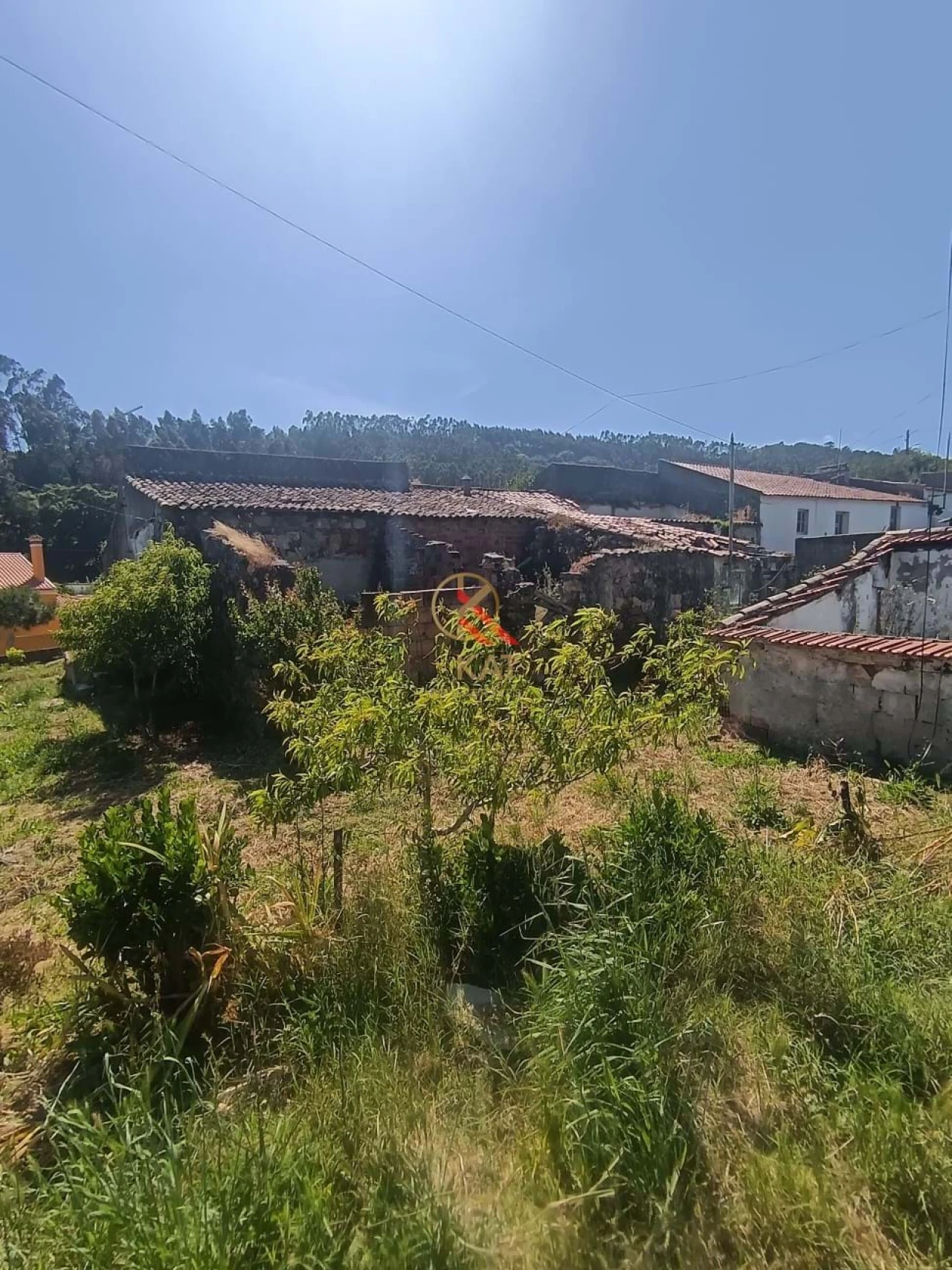 Terreno para Venda em Lousa Foto 3