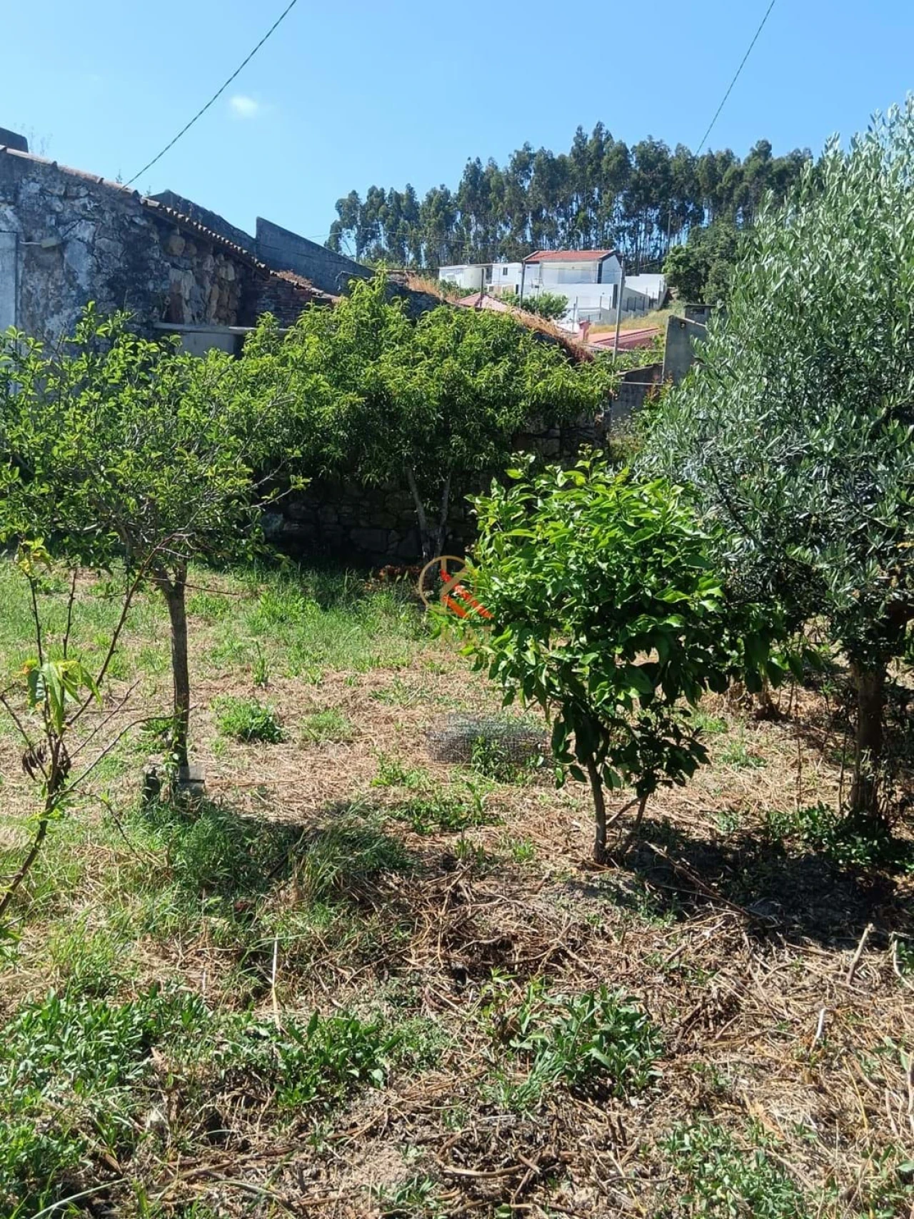Terreno para Venda em Lousa Foto 12