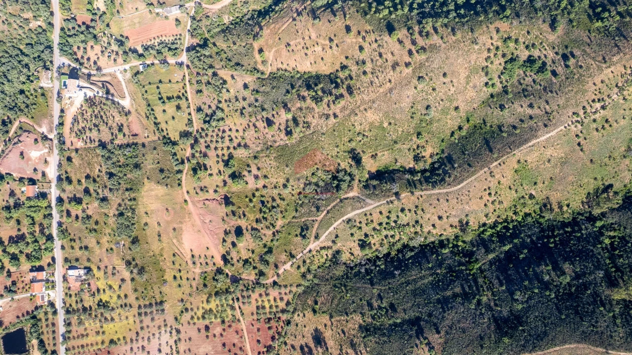 Terreno Agricola ou Rústico para Venda em Salir Foto 5