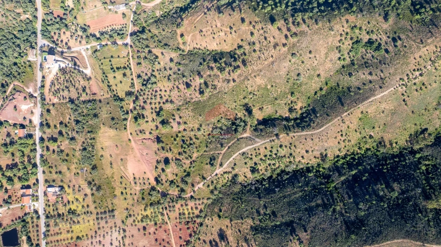 Terreno Agricola ou Rústico para Venda em Salir Foto 5