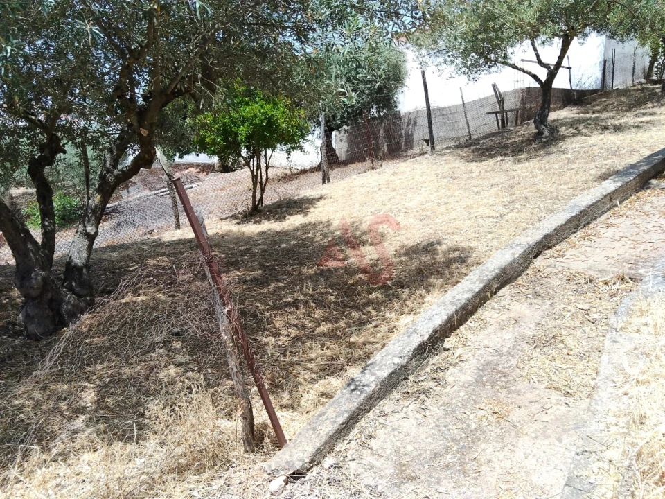 Moradia T1 para Venda em Safara e Santo Aleixo da Restauração Foto 5