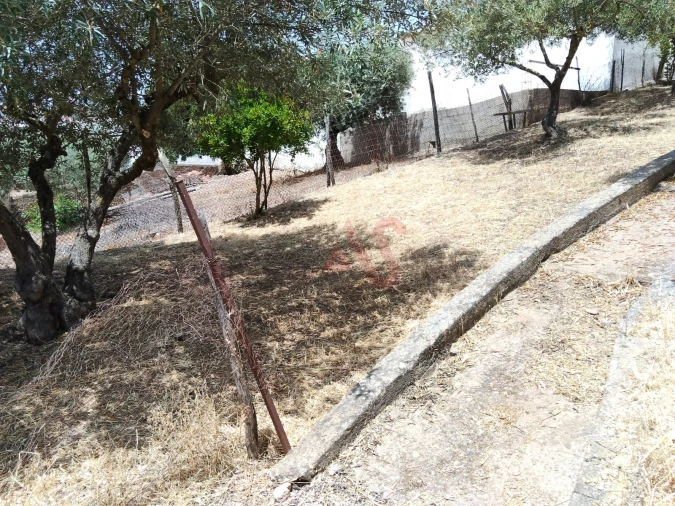 Moradia T1 para Venda em Safara e Santo Aleixo da Restauração Foto 5