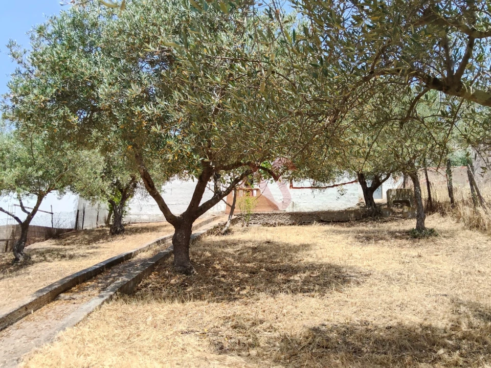 Moradia T1 para Venda em Safara e Santo Aleixo da Restauração Foto 3