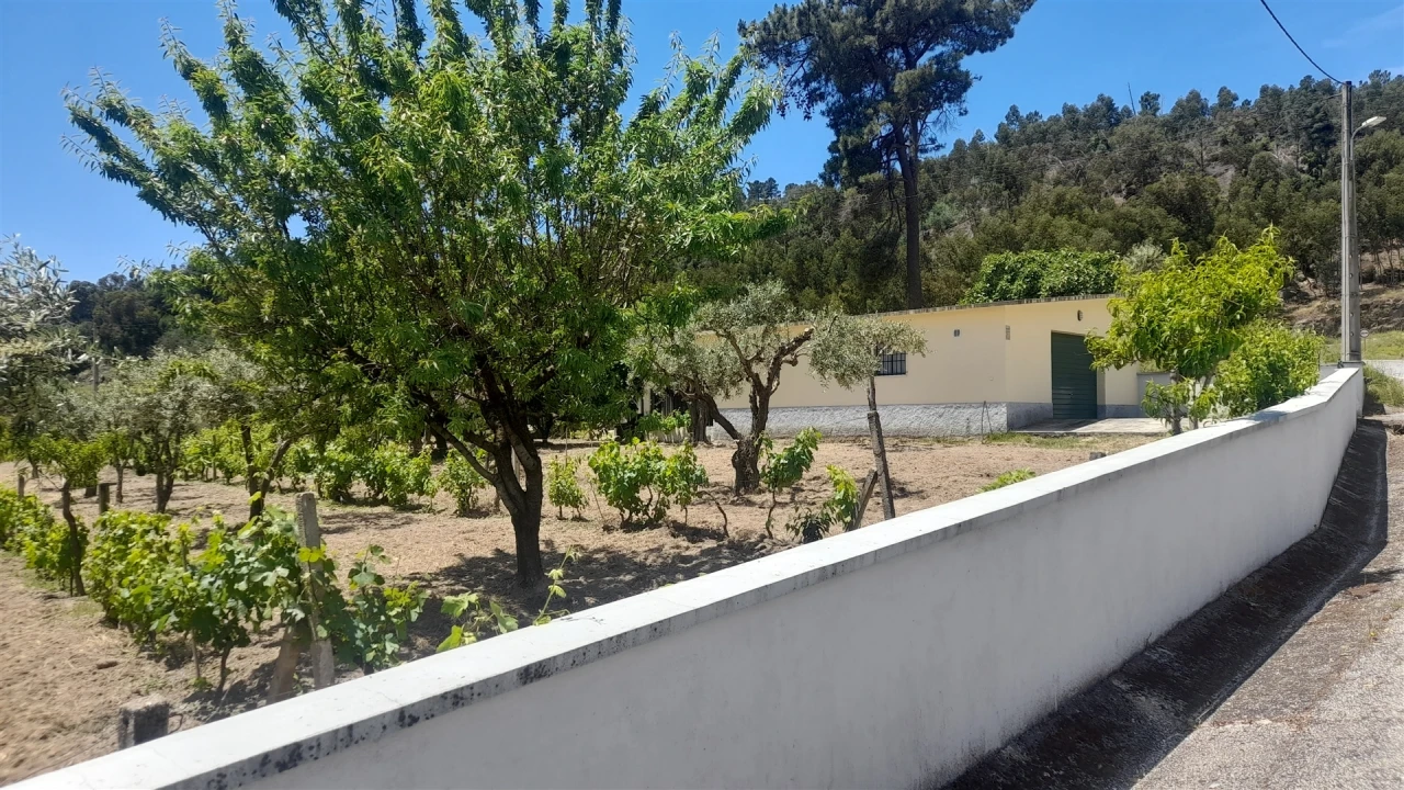 Moradia T4 para Venda em Louriçal do Campo Foto 55