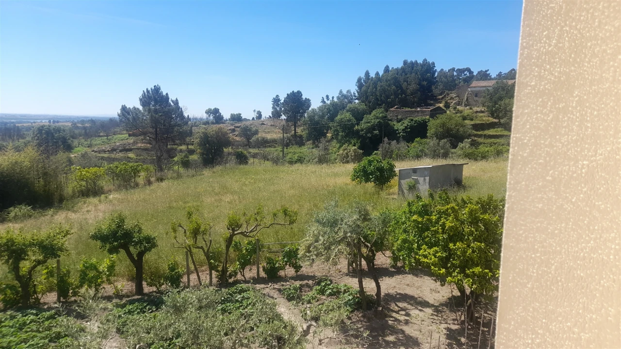 Moradia T4 para Venda em Louriçal do Campo Foto 5