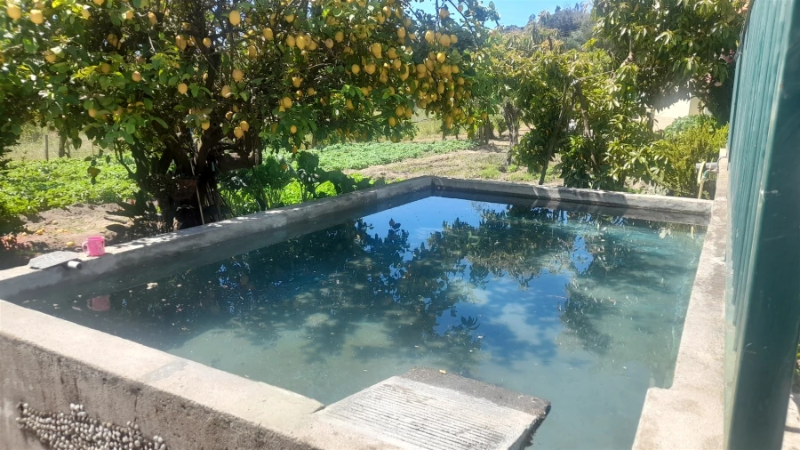 Moradia T4 para Venda em Louriçal do Campo Foto 44