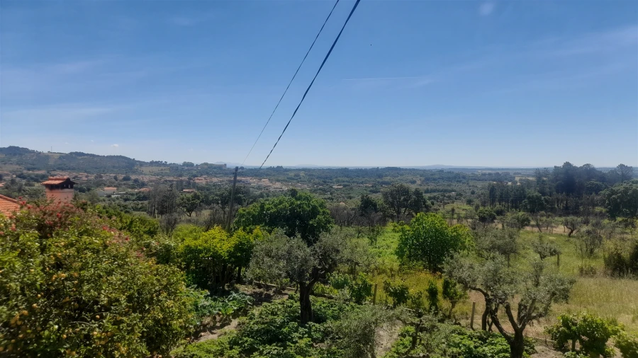 Moradia T4 para Venda em Louriçal do Campo Foto 6