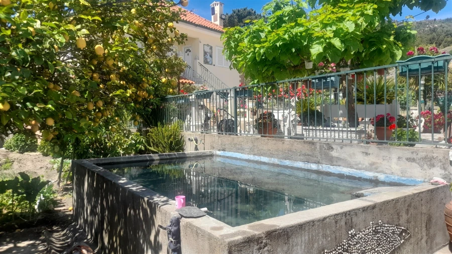 Moradia T4 para Venda em Louriçal do Campo Foto 46