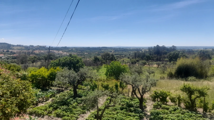 Moradia T4 para Venda em Louriçal do Campo Foto 4