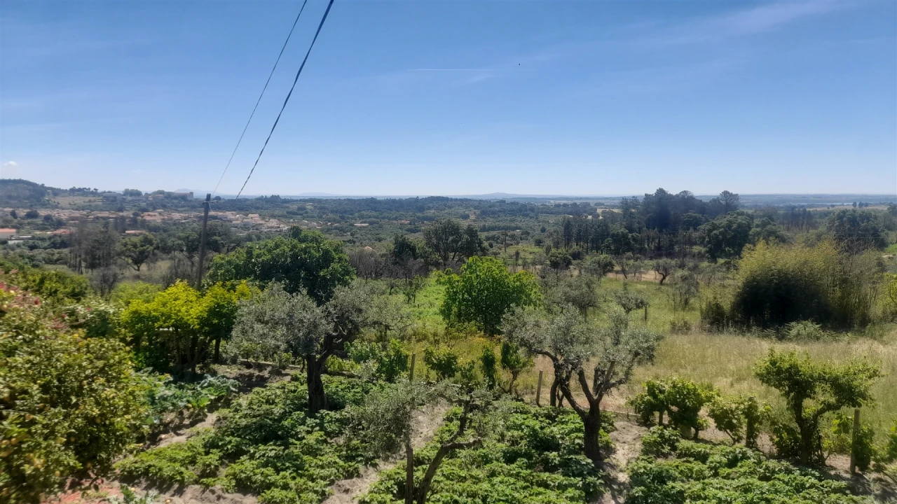 Moradia T4 para Venda em Louriçal do Campo Foto 4