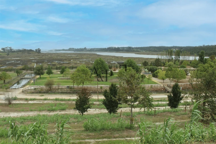 Negócio para Venda em Soza Foto 5