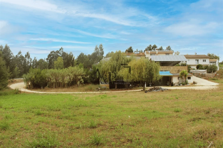 Negócio para Venda em Soza Foto 4