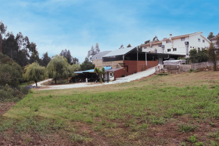 Negócio para Venda em Soza Foto 3