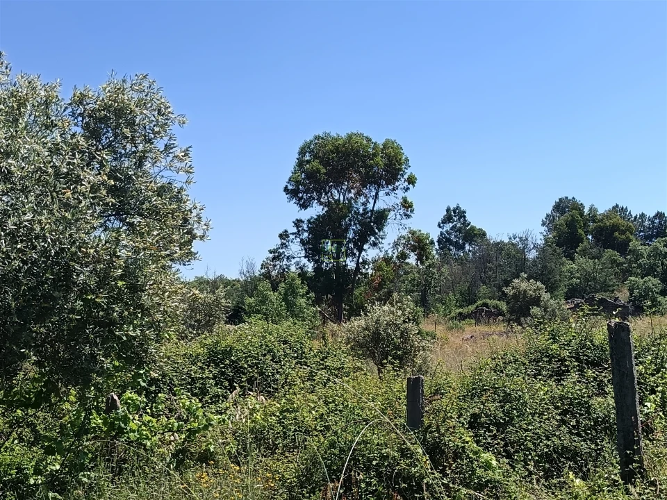 Terreno Agricola ou Rústico para Venda em Aldeia do Bispo, Águas e Aldeia de João Pires Foto 19
