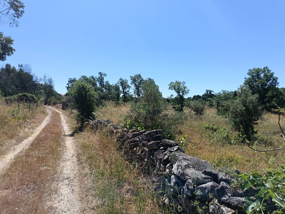 Terreno Agricola ou Rústico para Venda em Aldeia do Bispo, Águas e Aldeia de João Pires Foto 4