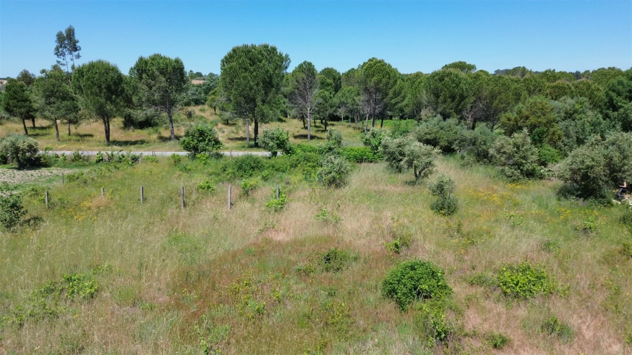 Terreno Agricola ou Rústico para Venda em Aldeia do Bispo, Águas e Aldeia de João Pires Foto 25