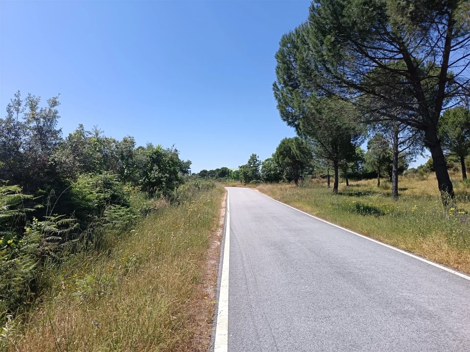 Terreno Agricola ou Rústico para Venda em Aldeia do Bispo, Águas e Aldeia de João Pires Foto 17