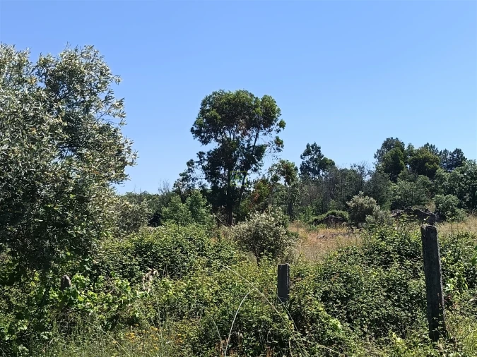 Terreno Agricola ou Rústico para Venda em Aldeia do Bispo, Águas e Aldeia de João Pires Foto 20