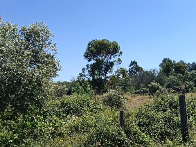 Terreno Agricola ou Rústico para Venda em Aldeia do Bispo, Águas e Aldeia de João Pires Foto 19