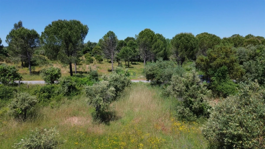 Terreno Agricola ou Rústico para Venda em Aldeia do Bispo, Águas e Aldeia de João Pires Foto 32