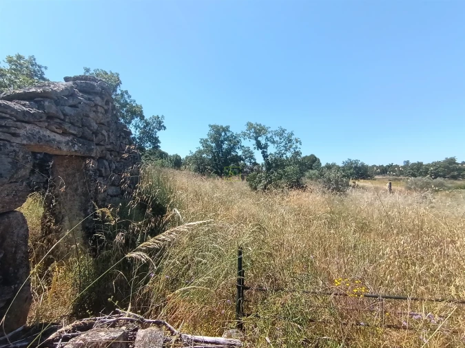Terreno Agricola ou Rústico para Venda em Aldeia do Bispo, Águas e Aldeia de João Pires Foto 8