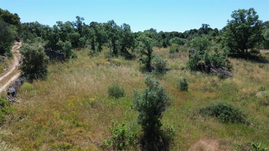 Terreno Agricola ou Rústico para Venda em Aldeia do Bispo, Águas e Aldeia de João Pires Foto 29