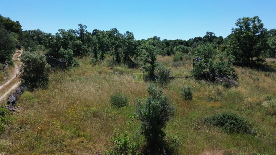 Terreno Agricola ou Rústico para Venda em Aldeia do Bispo, Águas e Aldeia de João Pires Foto 30