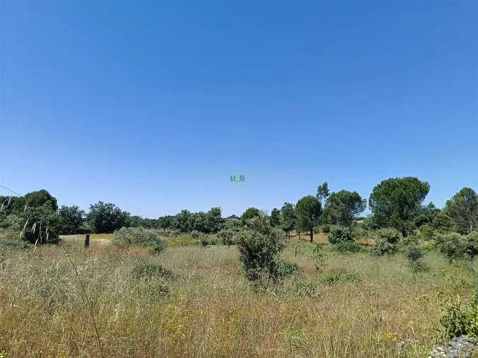 Terreno Agricola ou Rústico para Venda em Aldeia do Bispo, Águas e Aldeia de João Pires Foto 12