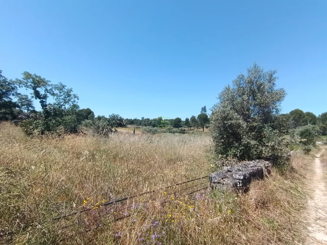 Terreno Agricola ou Rústico para Venda em Aldeia do Bispo, Águas e Aldeia de João Pires Foto 9