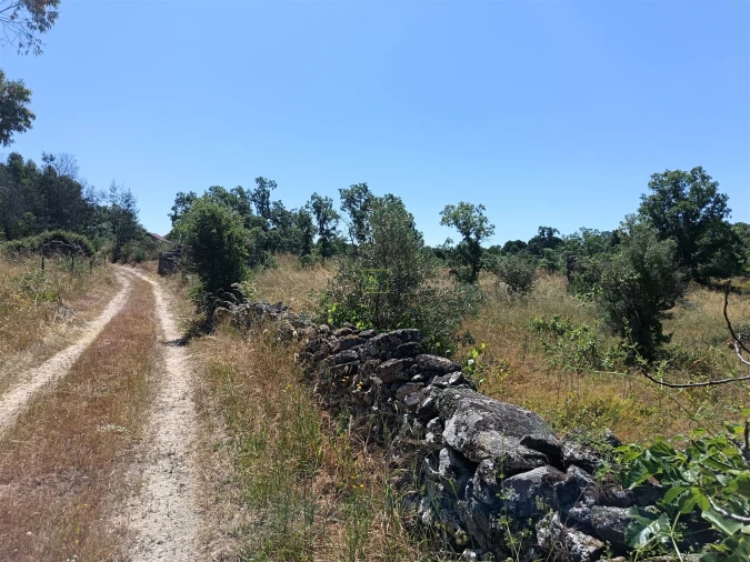 Terreno Agricola ou Rústico para Venda em Aldeia do Bispo, Águas e Aldeia de João Pires Foto 5