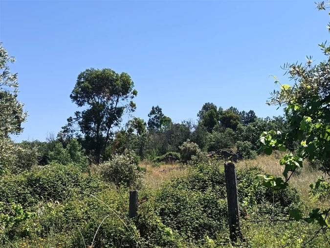 Terreno Agricola ou Rústico para Venda em Aldeia do Bispo, Águas e Aldeia de João Pires Foto 18