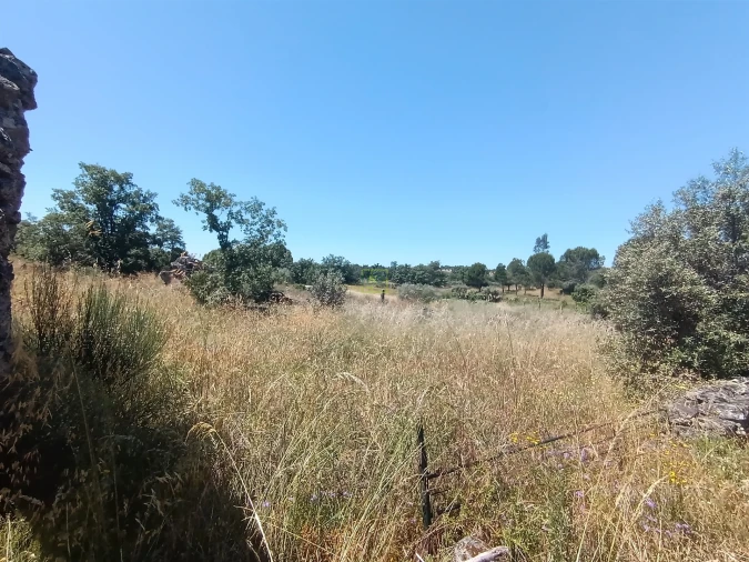 Terreno Agricola ou Rústico para Venda em Aldeia do Bispo, Águas e Aldeia de João Pires Foto 10