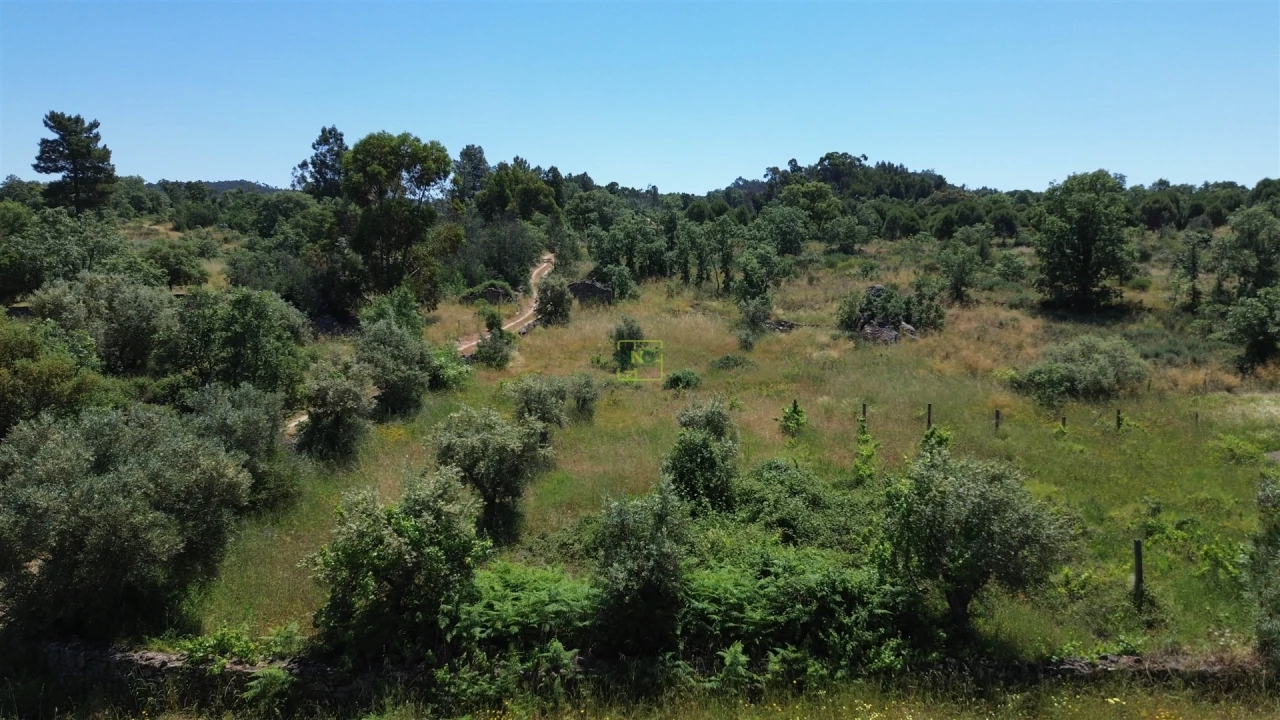 Terreno Agricola ou Rústico para Venda em Aldeia do Bispo, Águas e Aldeia de João Pires Foto 33
