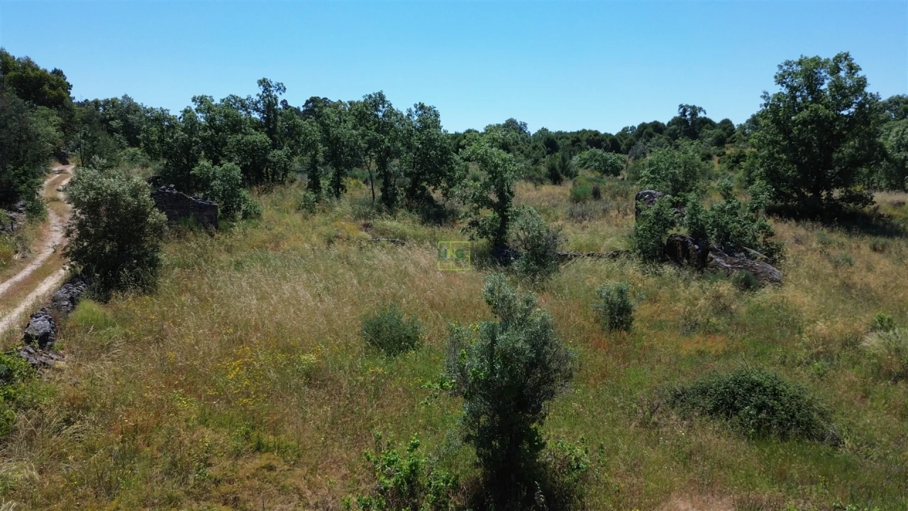 Terreno Agricola ou Rústico para Venda em Aldeia do Bispo, Águas e Aldeia de João Pires Foto 30