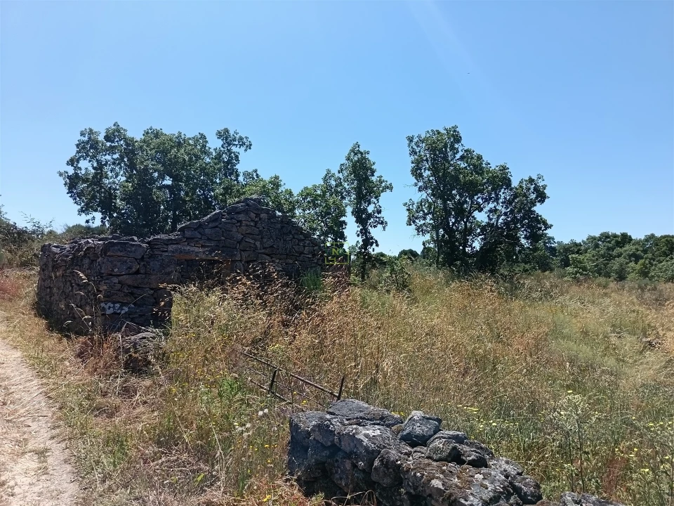 Terreno Agricola ou Rústico para Venda em Aldeia do Bispo, Águas e Aldeia de João Pires Foto 6