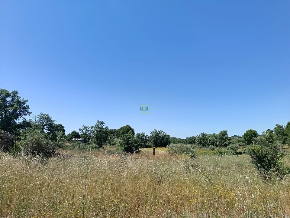 Terreno Agricola ou Rústico para Venda em Aldeia do Bispo, Águas e Aldeia de João Pires Foto 11