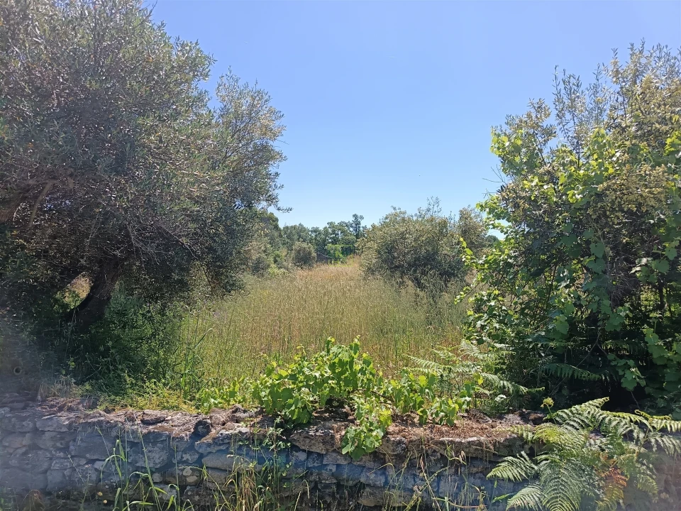 Terreno Agricola ou Rústico para Venda em Aldeia do Bispo, Águas e Aldeia de João Pires Foto 16