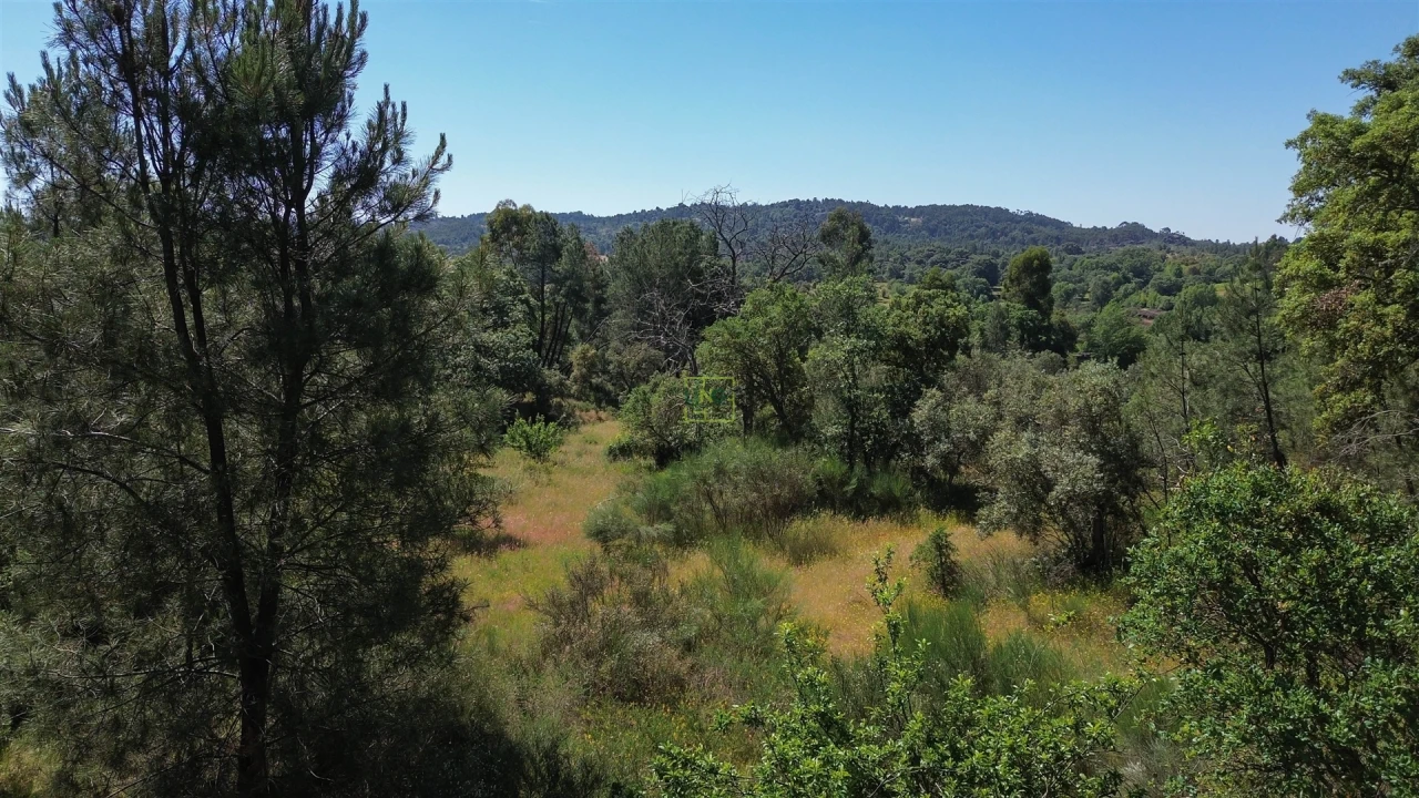 Terreno Agricola ou Rústico para Venda em Aldeia do Bispo, Águas e Aldeia de João Pires Foto 25