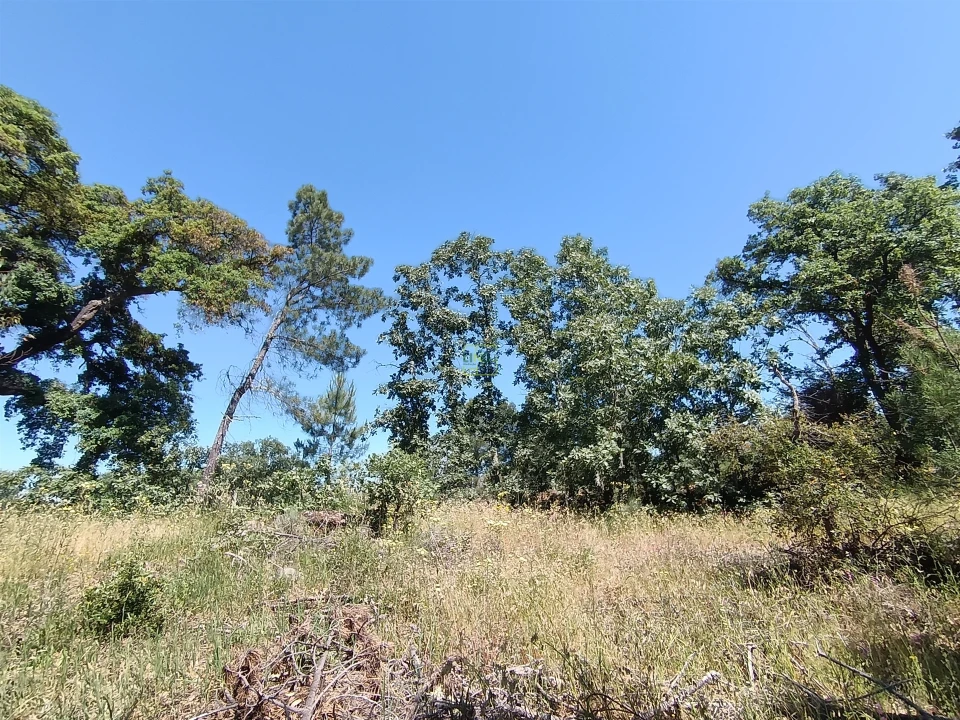 Terreno Agricola ou Rústico para Venda em Aldeia do Bispo, Águas e Aldeia de João Pires Foto 7