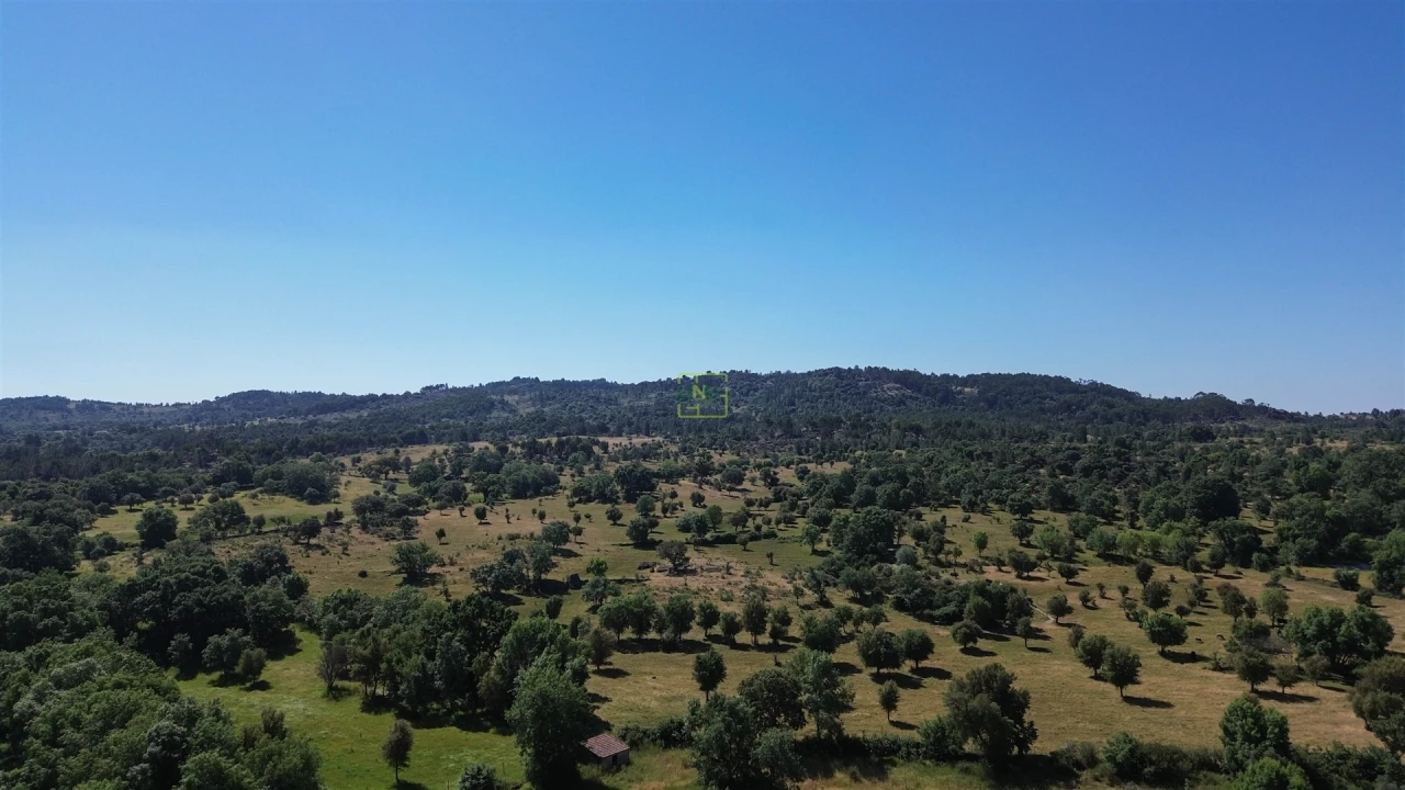 Terreno Agricola ou Rústico para Venda em Aldeia do Bispo, Águas e Aldeia de João Pires Foto 1